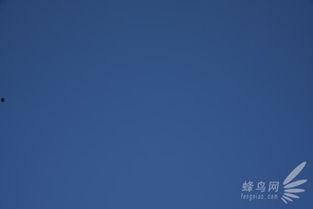 色一色国产,探寻东方色彩艺术的瑰宝